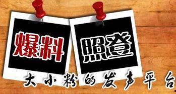 最新时政爆料,揭秘最新政策动向与影响 第3张 最新时政爆料,揭秘最新政策动向与影响 第3张